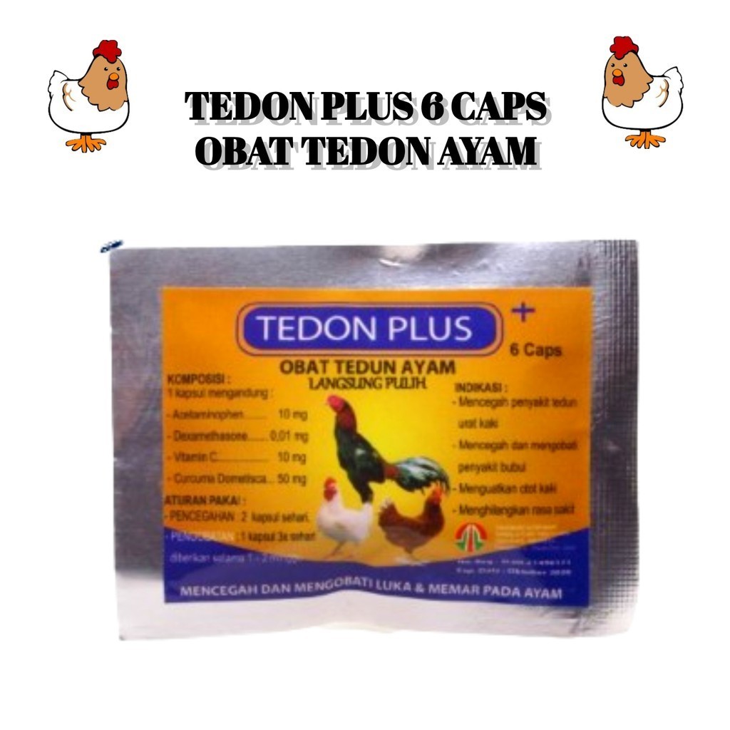 TEDON PLUS Obat Ayam Tedun Bubul Memar Luka Ayam Sakit Turun Urat dll
