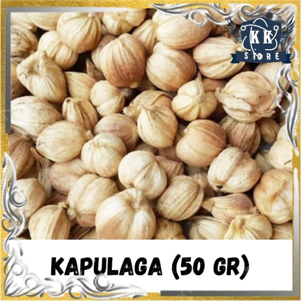 

Biji Kapulaga Cardamom isi 50 Gram Bumbu Rempah Kapolaga Kapulada Kering Alami Biji Kapulaga Utuh Masak Rempah Dapur Obat Alami Herbal TERMURAH TERLARIS