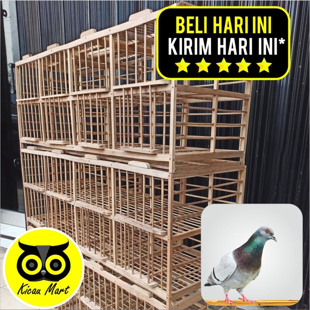 NC61YQ DONGDANG MERPATI 4 PASANG 8 PINTU KANDANG MERPATI KURUNGAN BURUNG MERPATI DARA KANDANG KAWIN 