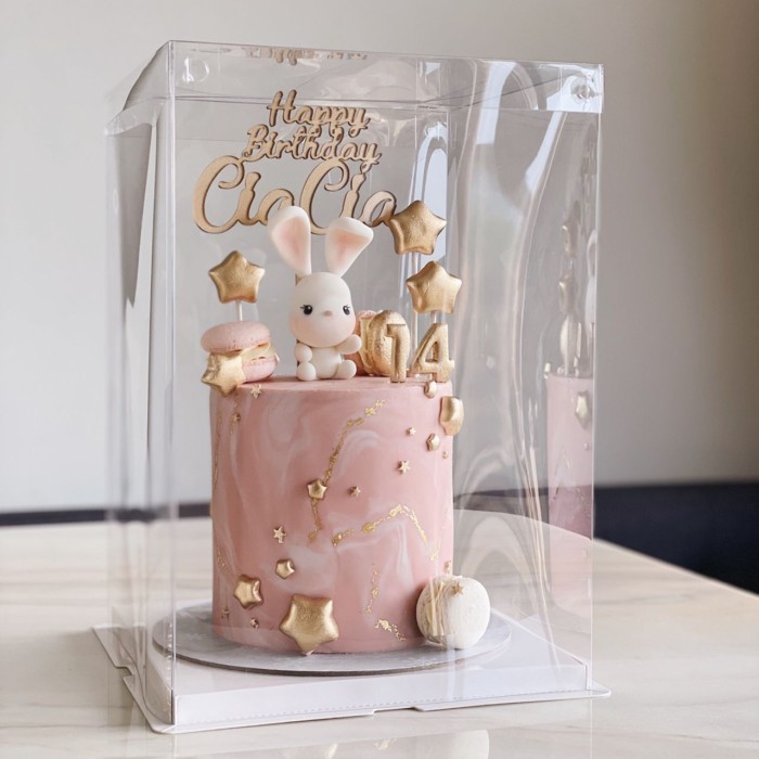 

Cake Box Mika Dus Kue Kotak Kue Transparant Pet Size 26x26 cm - 26x26x24cm