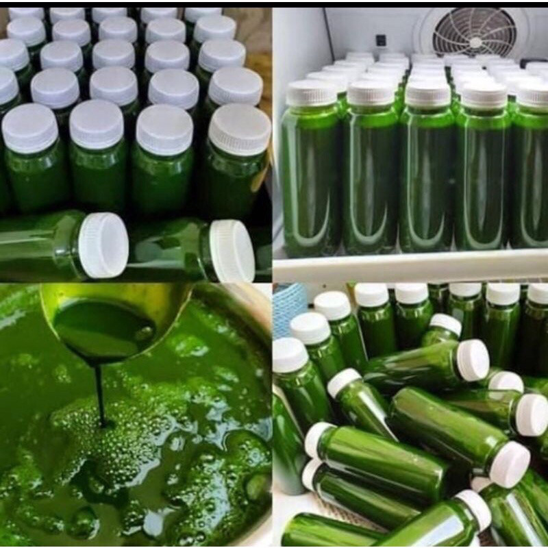 

Endapan air pandan murni tanpa campuran pengawet dan daun suji Alami 100% - Isi 250ml Organik