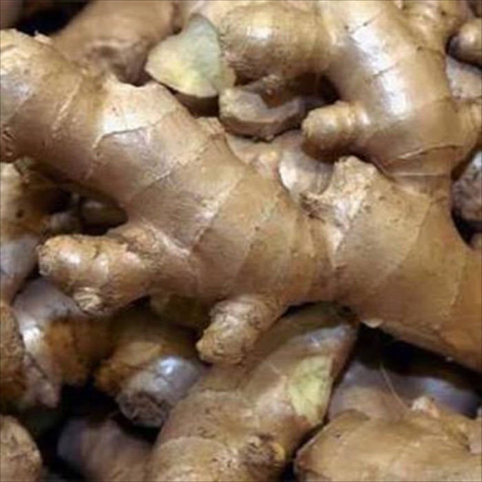 

ready Jahe gajah segar 500 gram