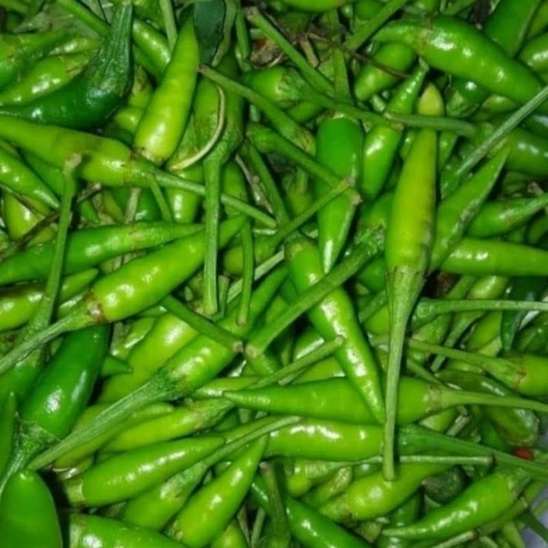 

Cabai Rawit Hijau - Cabe Pedes - Rawit Kecil