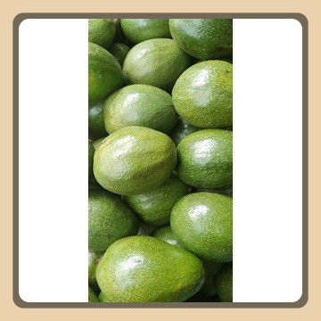 

Alpukat Lokal 1 Kg Isi 45 Mentah Segar