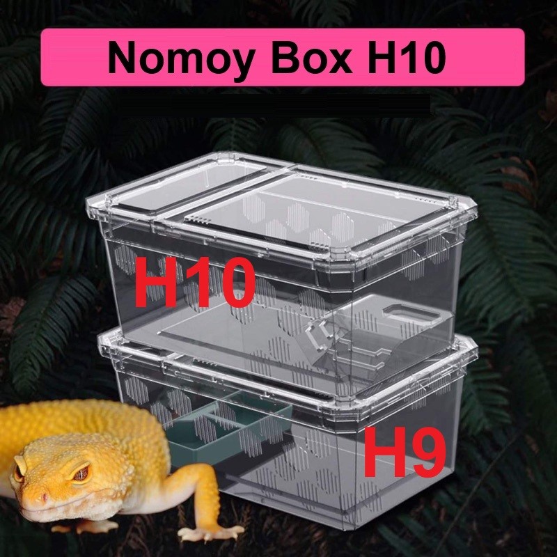 Reptile Box Tangkringan / Platform Pacman Horned Frog Kodok Turtle Kura Air Nomoy H10 18.5x12.1x7.8c
