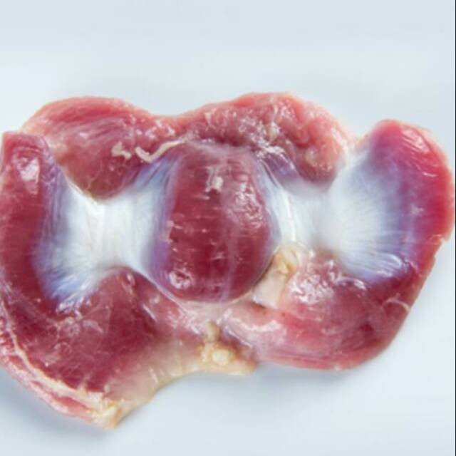 

Ampela Hati Ayam Bersih 1kg