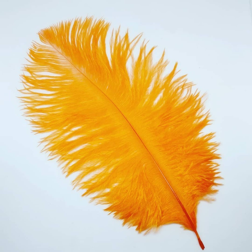 KM_001 bulu kemucing / bulu ostrich (perhelai)