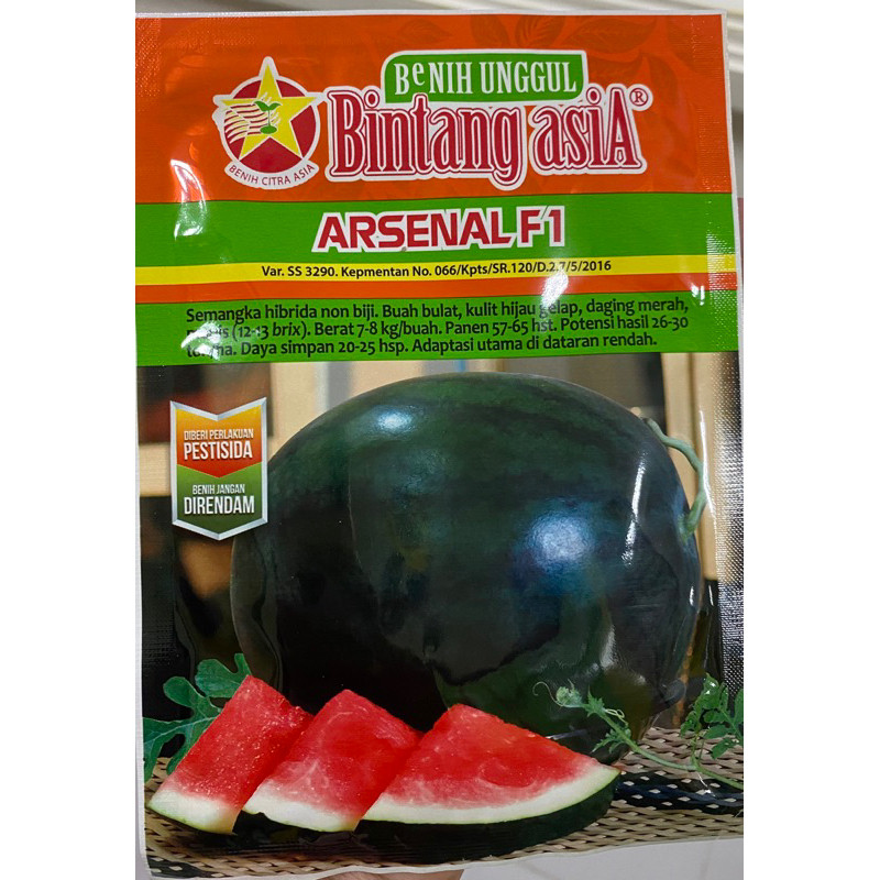 Benih semangka Hibrida non biji ARSENAL F1 bibit semangka non biji buah bulat Kemasan 20gr Bintang A