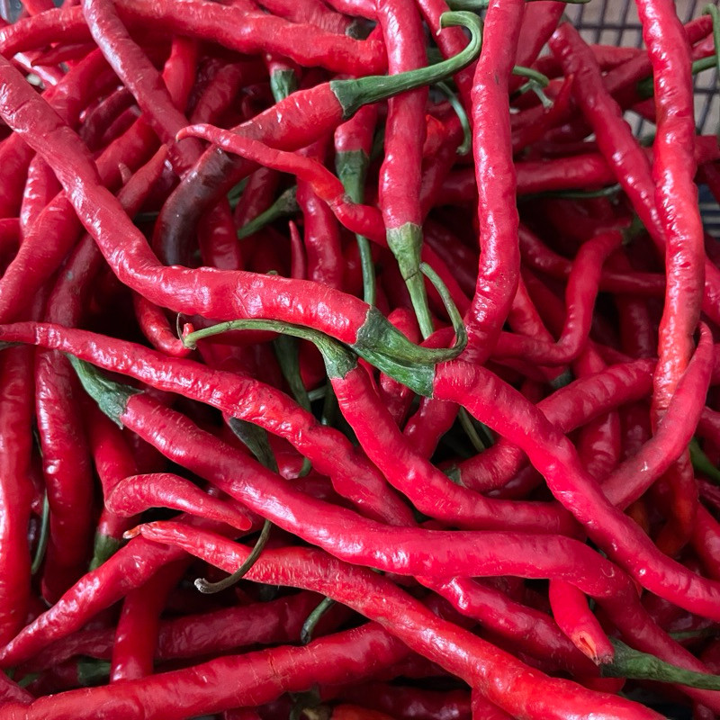 

Paket Cabe Merah Keriting [INSTAN ONLY]