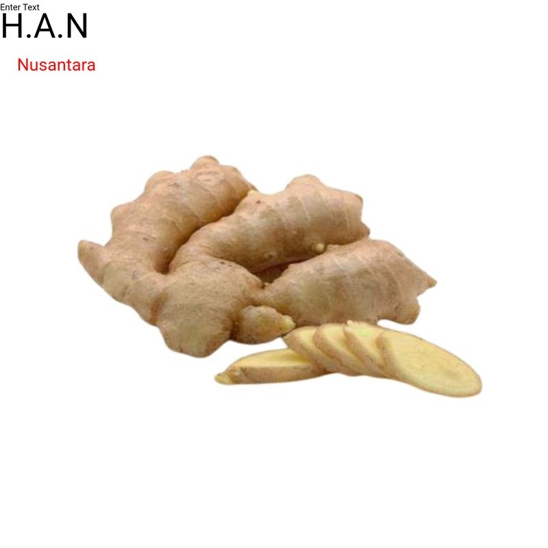 

Kunyit putih segar 750gram (temu putih/curcuma zedoria ) BUKAN STOK LAMA