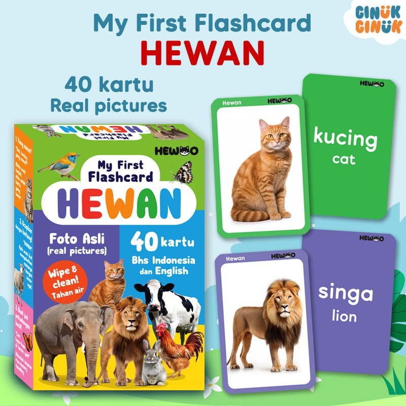 My First Flashcard HEWAN (40 kartu - gambar foto asli) - kartu edukasi