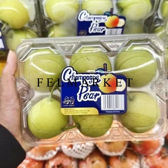 

Buah Pear Champagne Fresh Manis Isi 6 Pcs / Pack