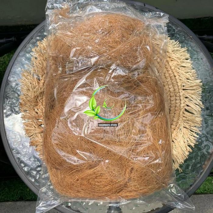 Sabut Kelapa l Media Tanam Sabut Kelapa Kering