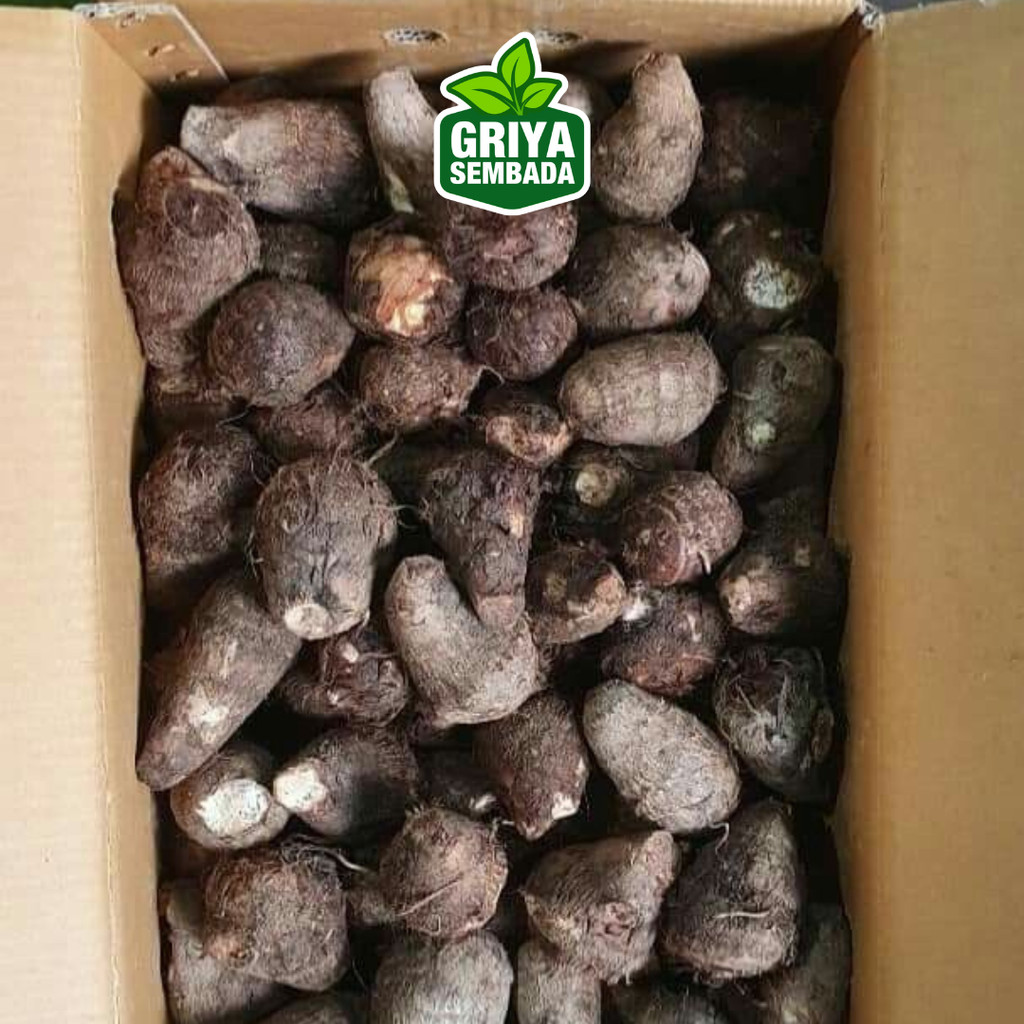 

Umbi Tales KIMPUL PULEN ENAK 1kg