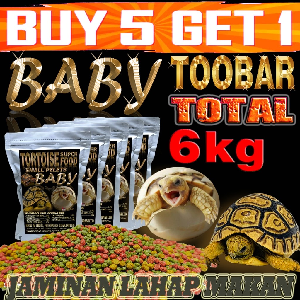 BABY BITES TORTOISE SULCATA SULKATA PAKAN PELET BAYI KURA-KURA DARAT MAKANAN HEWAN KURA PARDALIS YNI