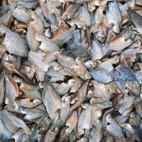 

ikan asin sepat kecil super / bakrik super 1 kg murah bisa COD