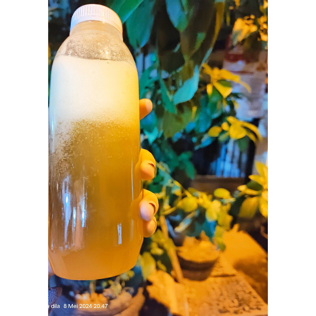 

ARFADH Madu hutan apiss dorsata Madu Trigona Itama Madu Murni Madu Asli 1kg dan 500g