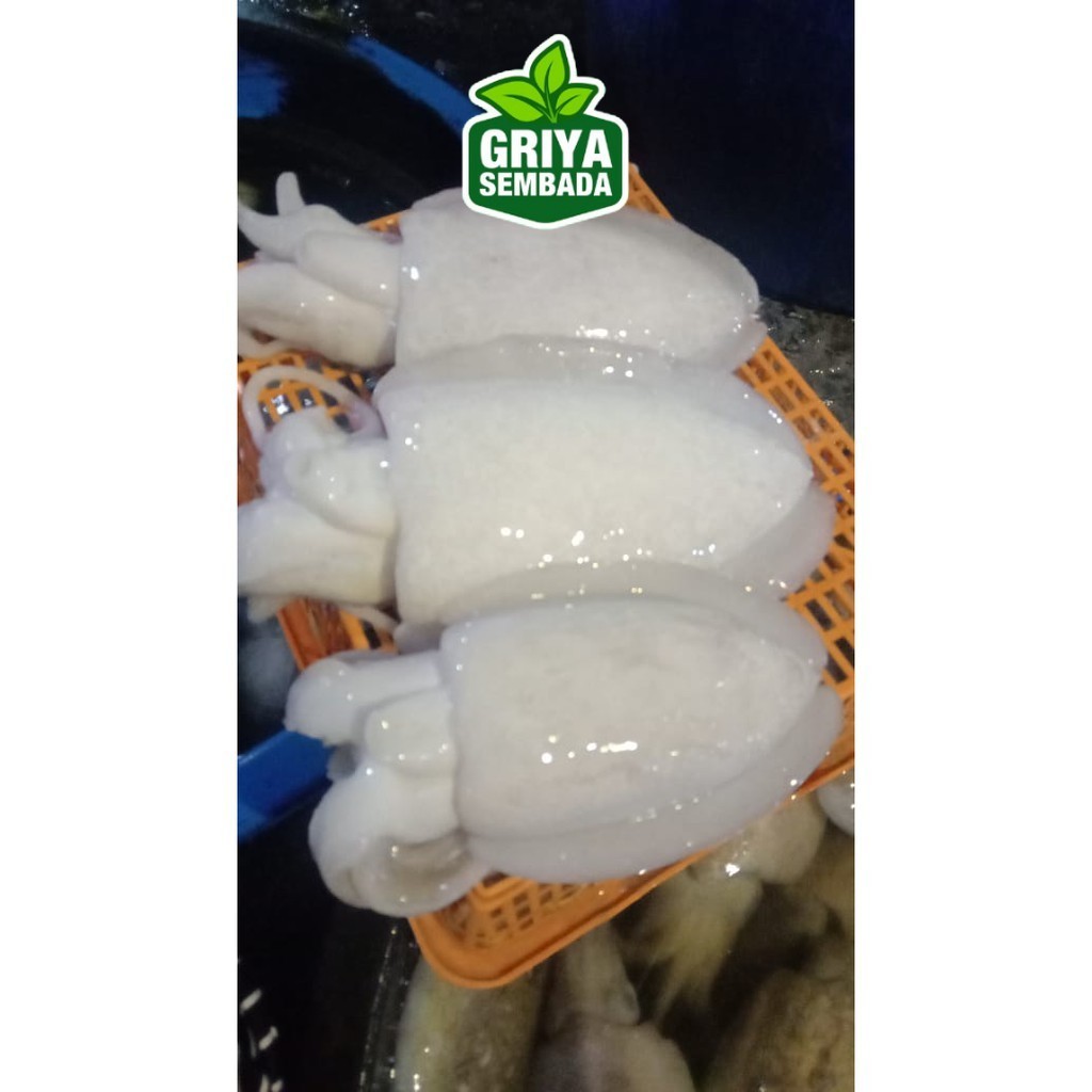 

Cumi Sotong/Sontong Segar 1KG Griya Sembada