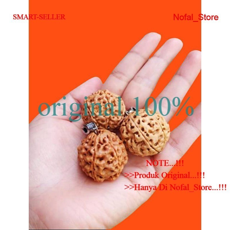 Jenitri Rudraksha Liontin Besar Jumbo Baru