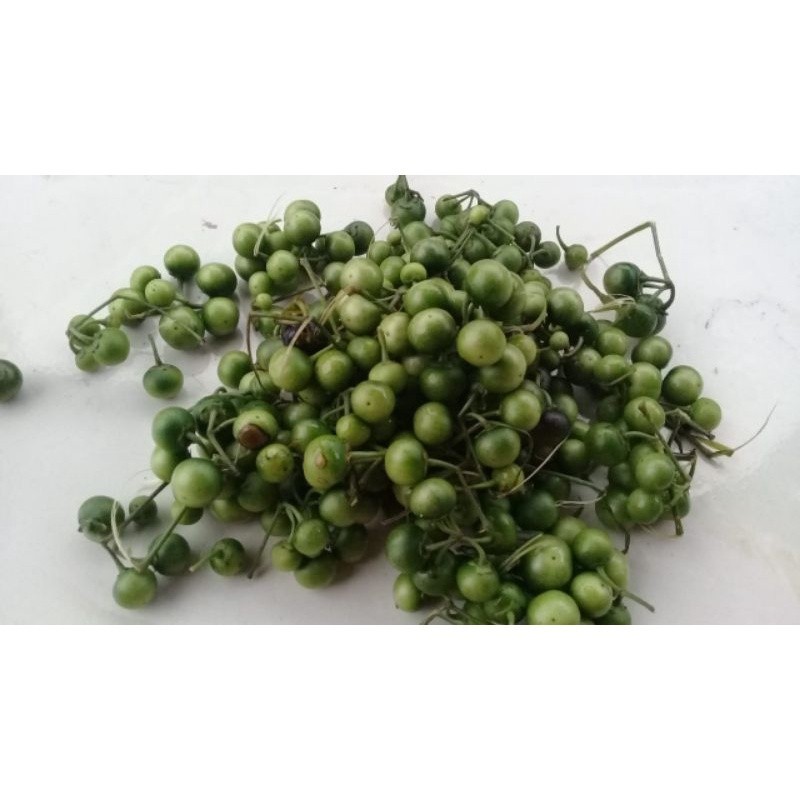 

Buah ranti/leunca segar 250 gram