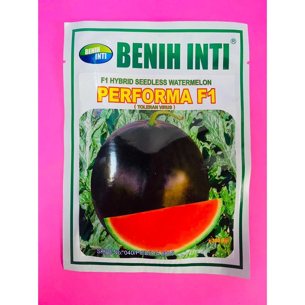 PERFORMA F1 Benih semangka merah kulit gelap tanpa biji isi ±300bj dari BENIH INTI