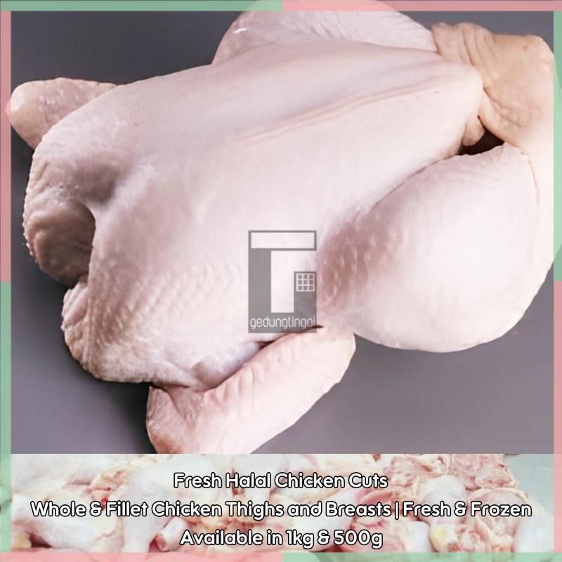 

Fresh Halal Chicken Cuts 1kg & 500g | Whole, Thigh, Breast, Wings | Frozen | Best for Family