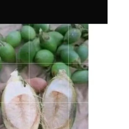 

buah pinang muda isi 20 biji sgae ..