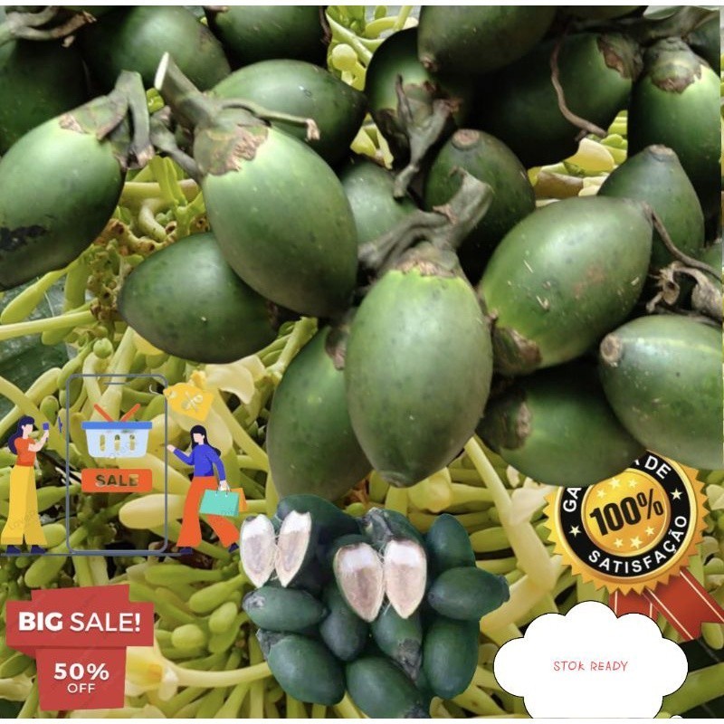 

Buah pinang muda buah jambe muda organik food 500 Grm ak