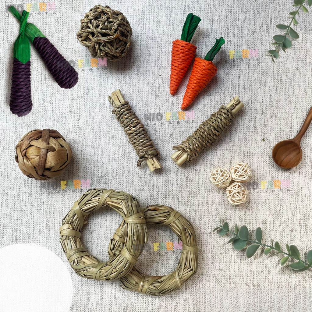 NIOTOYS - NATURAL RABBIT BITE TOYS - Chew Toys Rabbit / Rabbit Bite Toys / Rabbit Teeth Sharpeners /