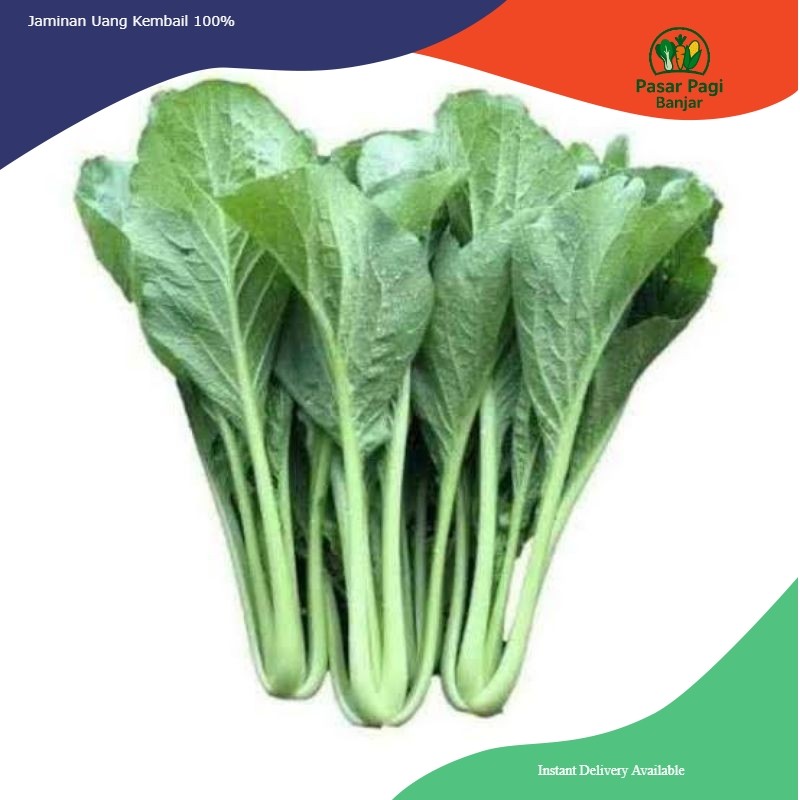 

Sawi Hijau Segar / Caisim / Sosin Per Ikat Besar