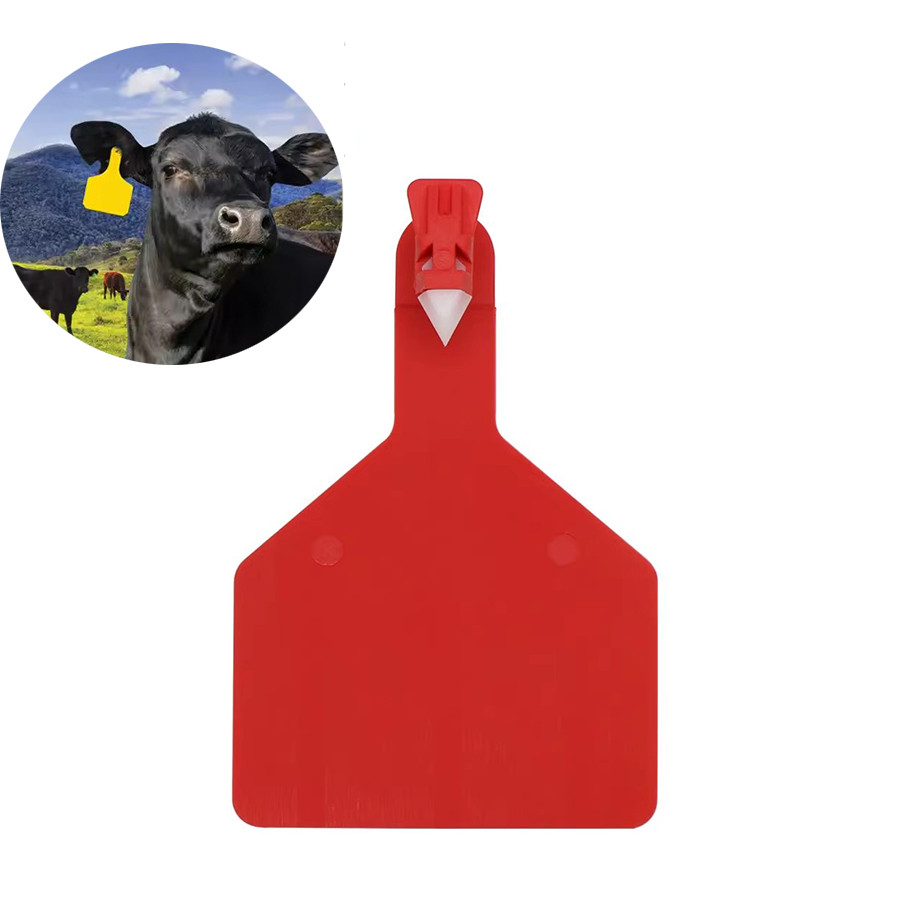 

5 Pcs Cow Integrated Ear Tag Plus Size Cattle Blank Head Earrings Farm Animal Big Identification Card TPU Material