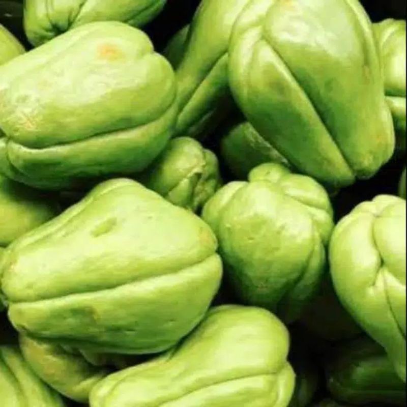 

Buah Labu Siam Muda buat sayuran Segar Langsung Petik 500 gram