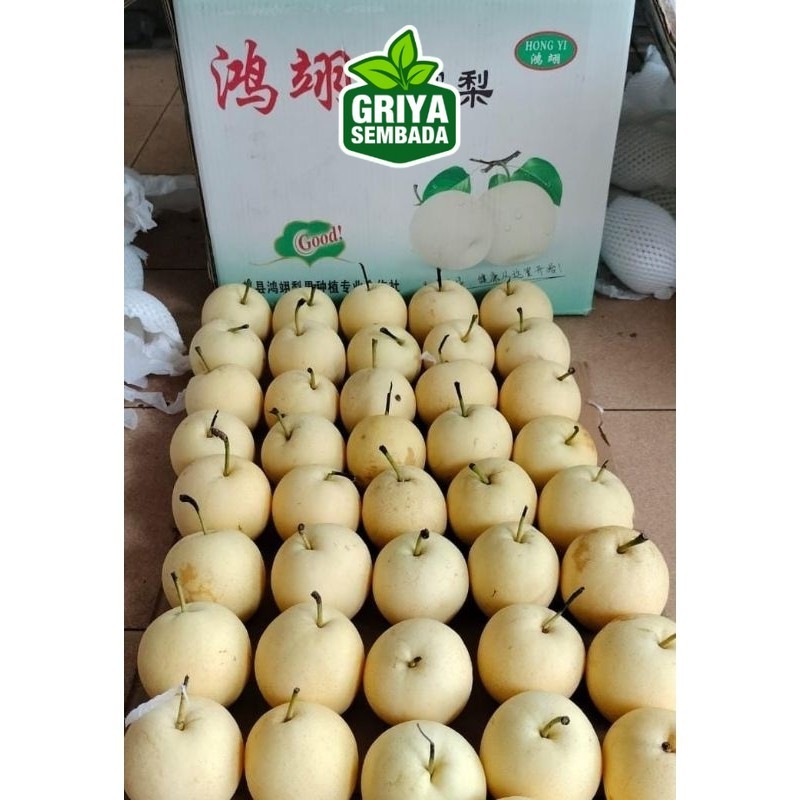 

Indukbuah Buah Pear Century Manis 1 Dus 16kg Griya Sembada