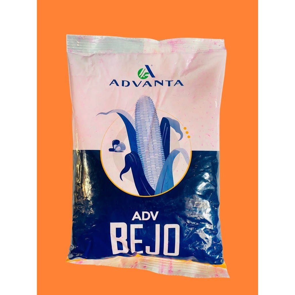 Benih jagung BEJO isi 1kg dari ADVANTA