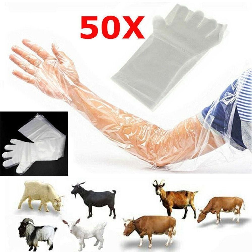 50Pcs Soft Plastic Disposable Vet Glove Clear Disposable Long Arm Glove Veterinary Supplies Farm Glo