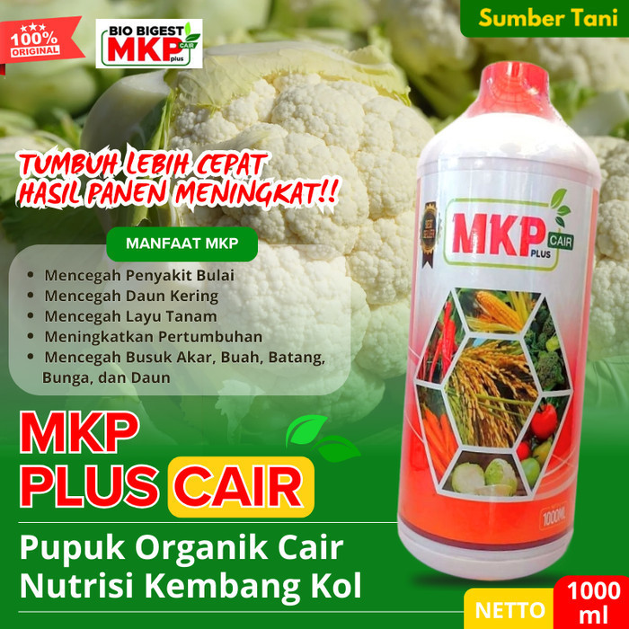 STAN Pupuk Organik Cair Nutrisi Booster Kembang Kol Terbaik MKP BIOGEST