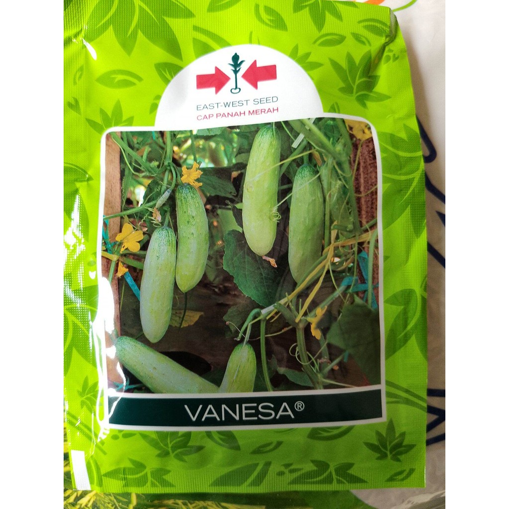 Benih Timun Vanesa 20 Gram Timun Putih