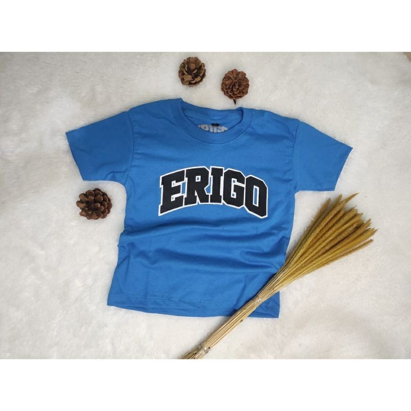 BAJU ANAK LAKI-LAKI & PEREMPUAN UMUR 1-12 TAHUN ERIGO / KAOS ANAK LAKI LAKI PEREMPUAN DISTRO/ KAOS A