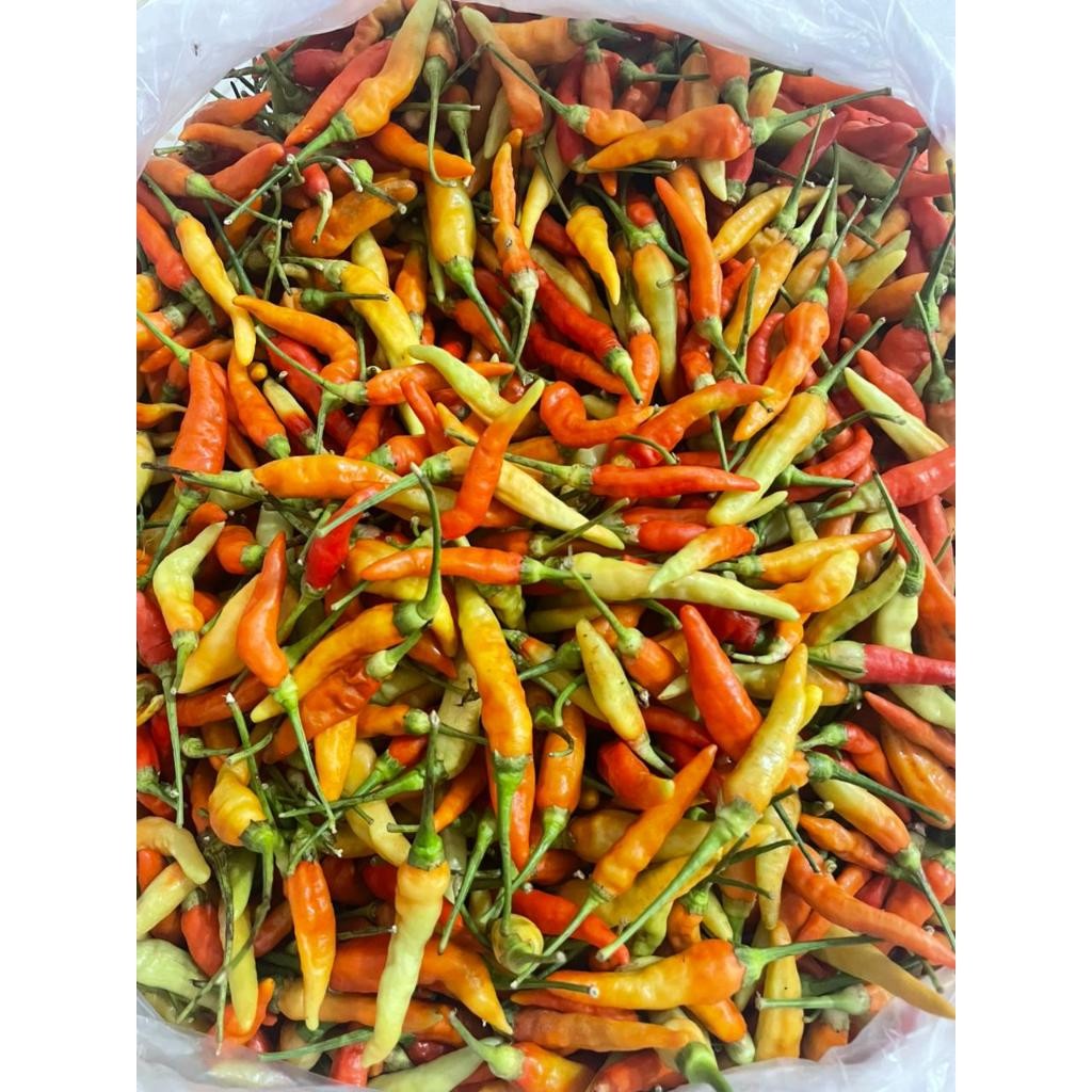 

Cabai Rawit Merah Fresh Setiap Hari