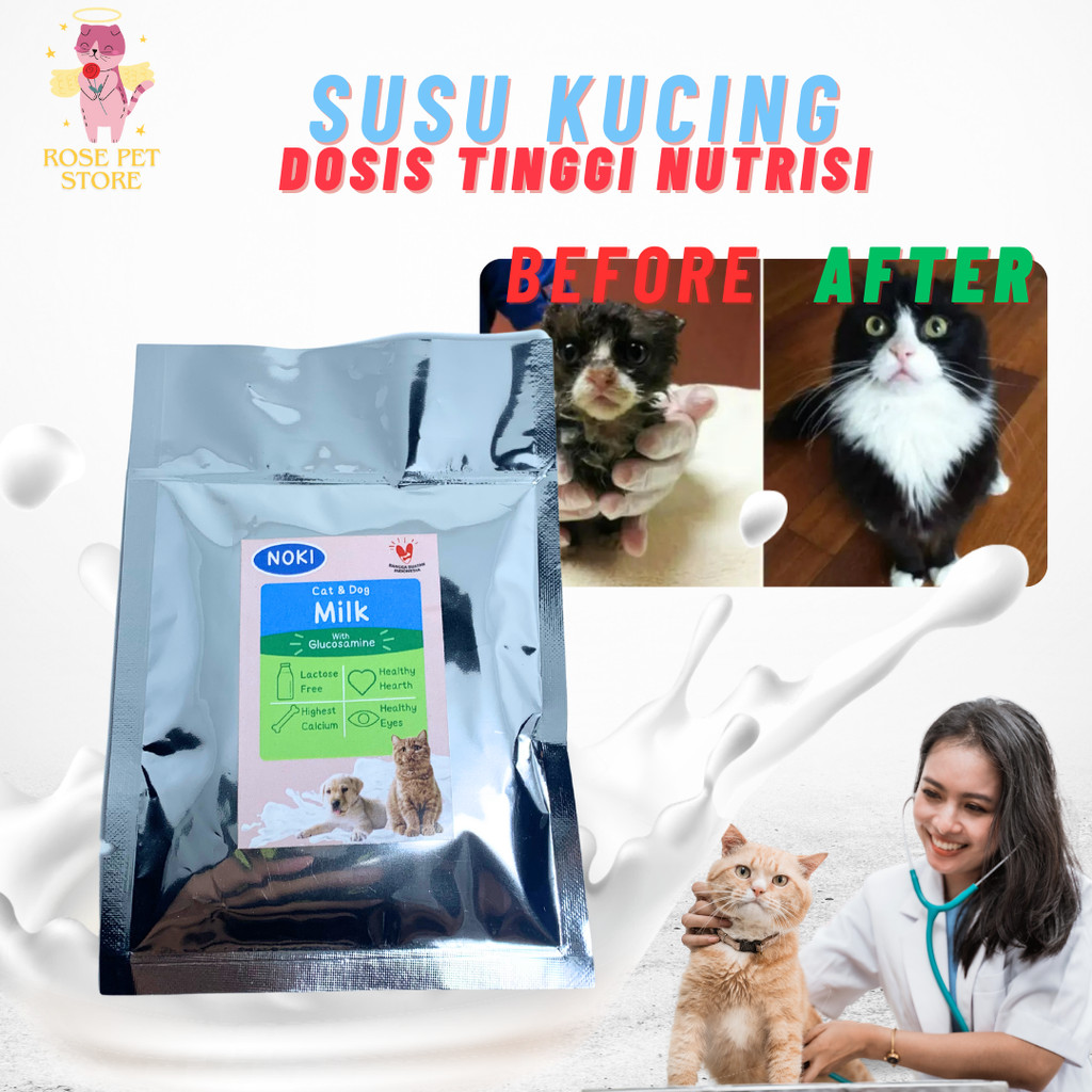 SUSU KUCING BAYI KITTEN BAYI BARU LAHIR DEWASA SUSU ANAK KUCING KITTEN CAT MILK