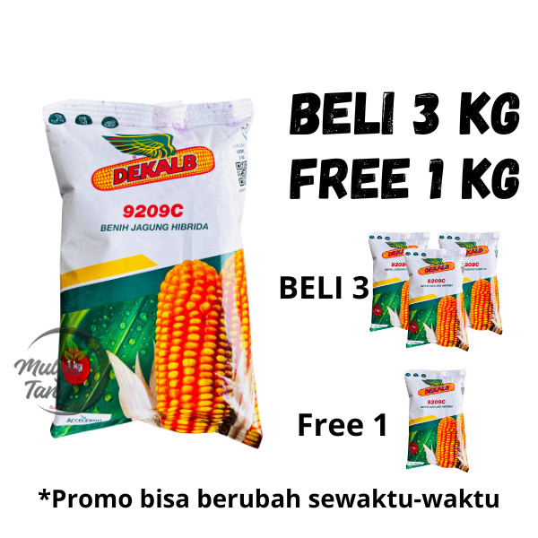 Benih Jagung Hibrida Dekalb DK 9209C 1 Kg Original