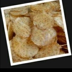 

Kerupuk Jengkol Mentah Asli Padang 1 kg