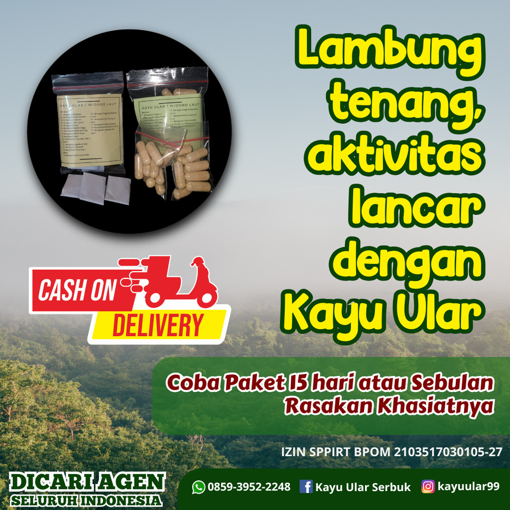 Obat Asam Lambung Herbal Kayu Ular Papua – Redakan Perih, Tenangkan Lambung, Cegah Kambuh – Testimon