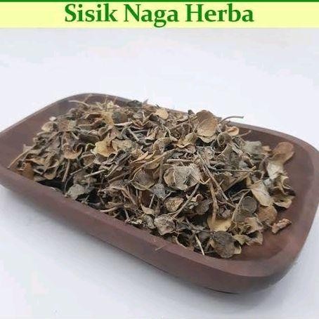 

Daun Sisik Naga Kering Asli Herbal Alami 500gr