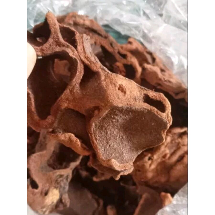 Sarang semut herbal asli papua 1kg