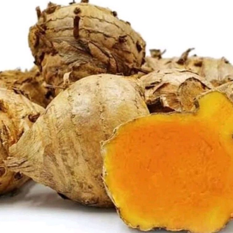 

TEMULAWAK SEGAR / TEMULAWAK KUNING/500grm