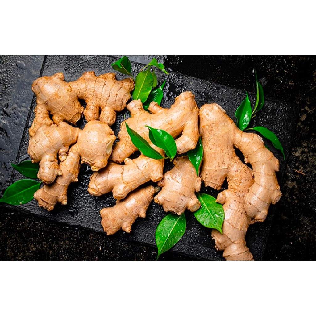 

Jahe Emprit Fresh Bersih 1 Kg Murah