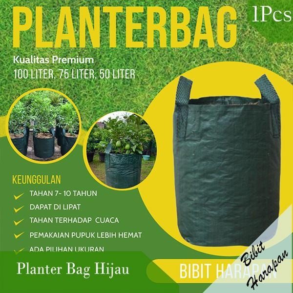 Sale Planter Bag Hijau 50 75 100 Liter Pot Tanaman PlanterBag Media Tanam Pot Tanaman - HIJAU., 50 L