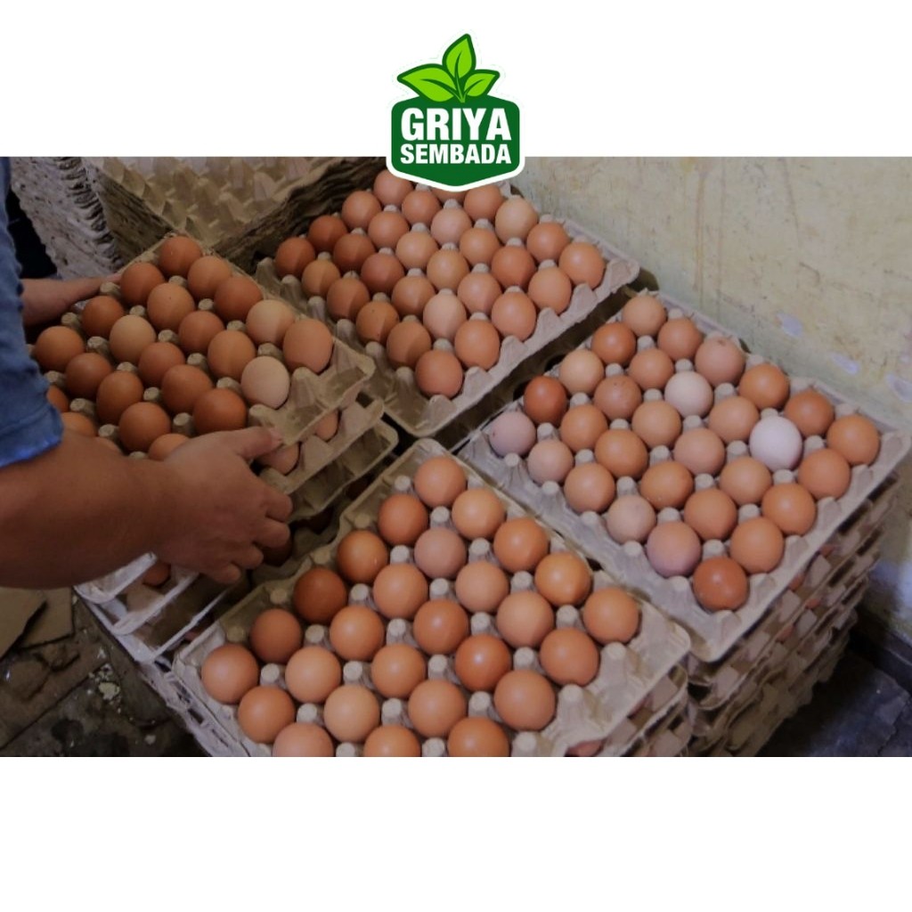 

TELUR AYAM NEGERI GRADE A ISI 9 KG Griya Sembada