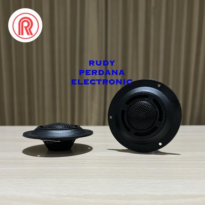 ZL99 TWEETER TWETER TWITER TUITER SPEAKER 200W 200 WATT RAYDEN RD-2105